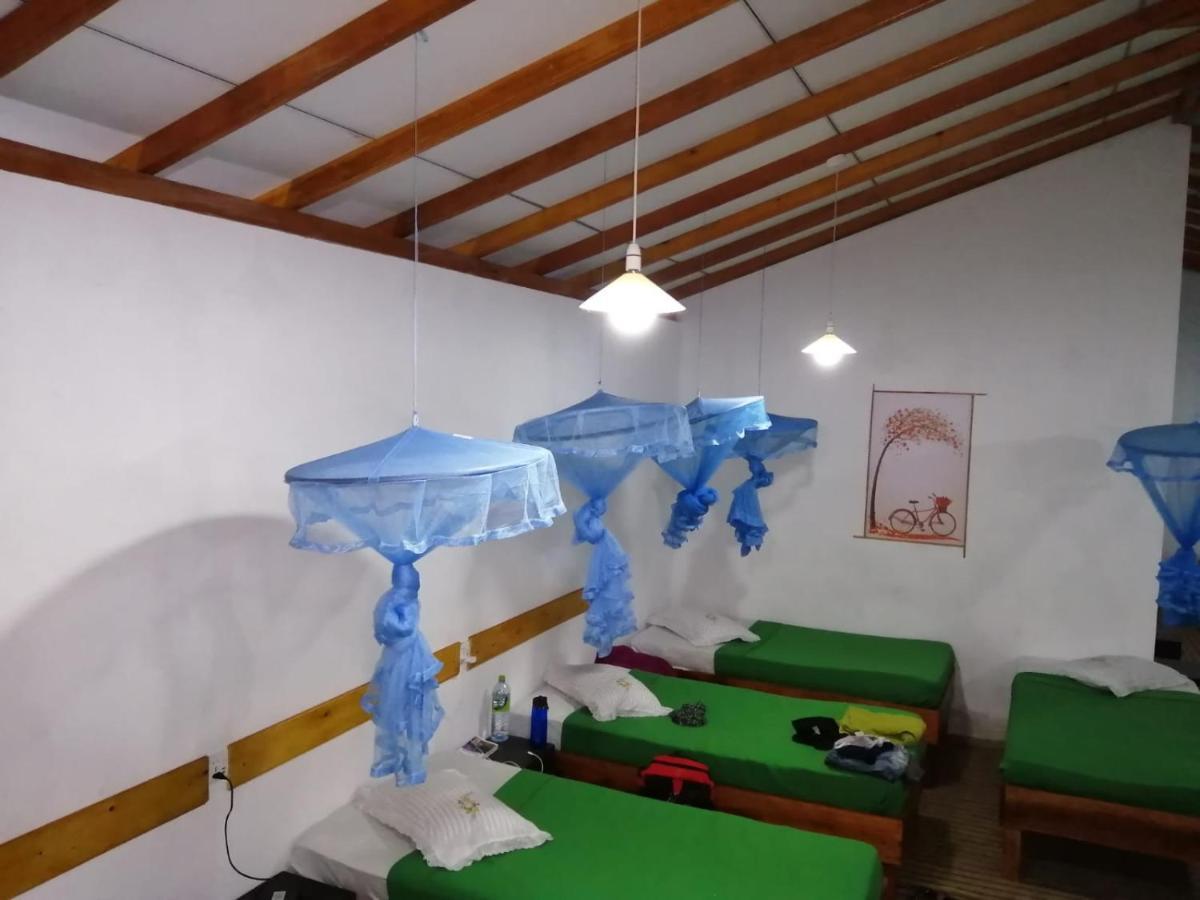 Ella Foret Hostel Zewnętrze zdjęcie